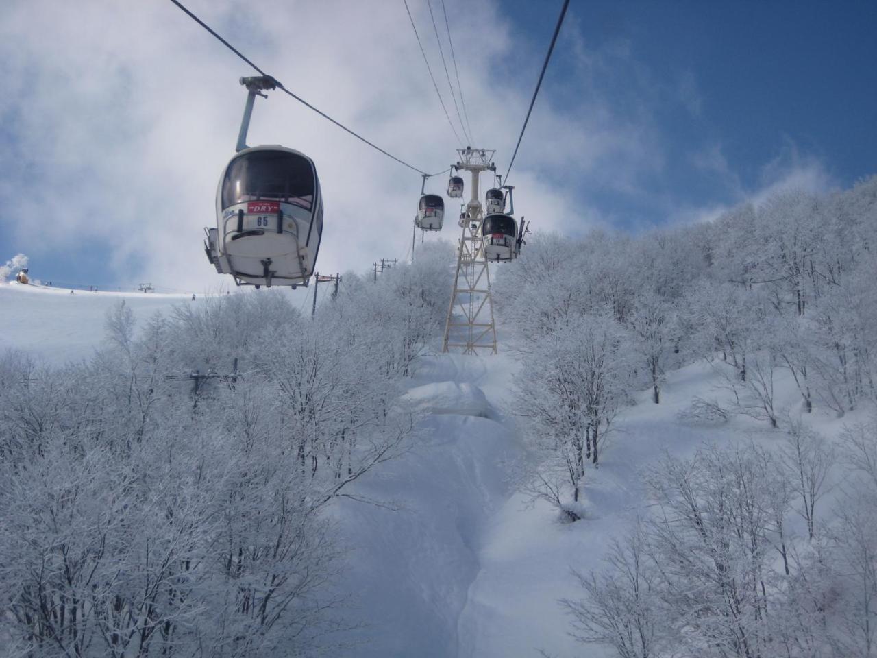 Sakka Sanso Villa Hakuba Eksteriør bilde