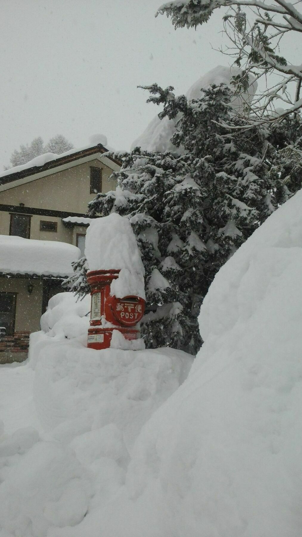 Sakka Sanso Villa Hakuba Eksteriør bilde