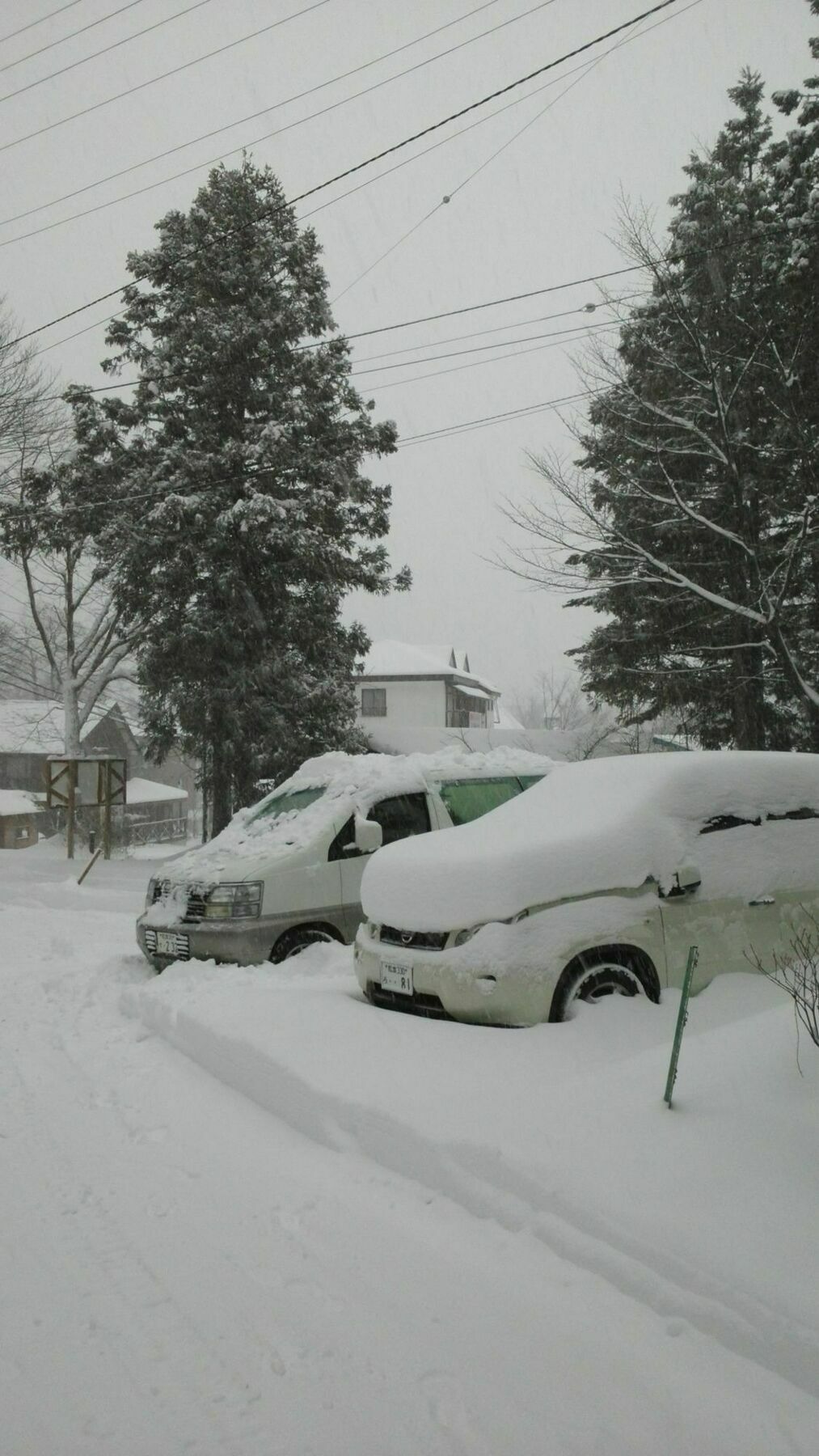 Sakka Sanso Villa Hakuba Eksteriør bilde